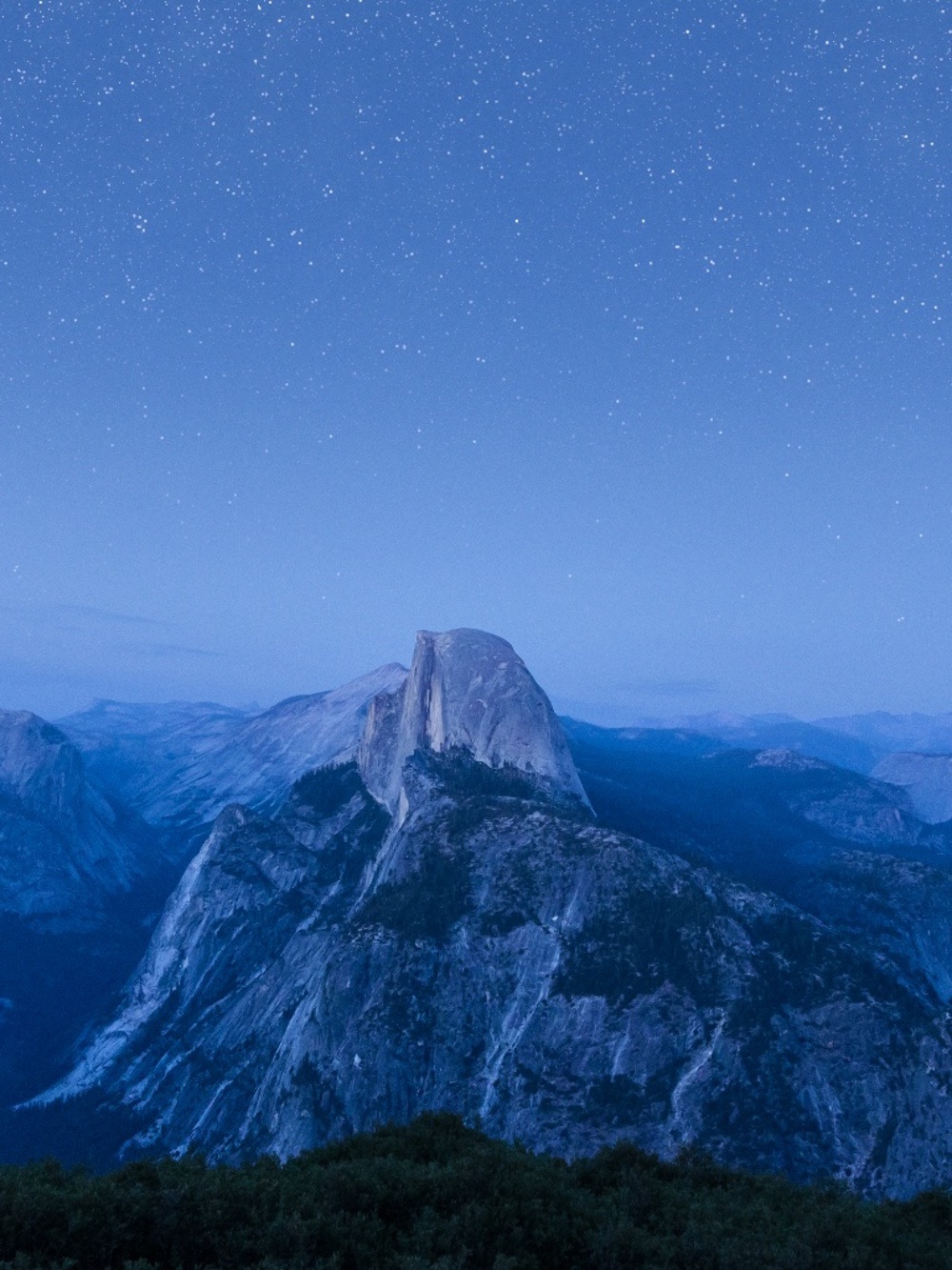 Meet your Posher, Cass!